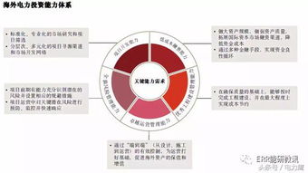 海外電力投資 趨勢(shì)、挑戰(zhàn)與資產(chǎn)管理新思路